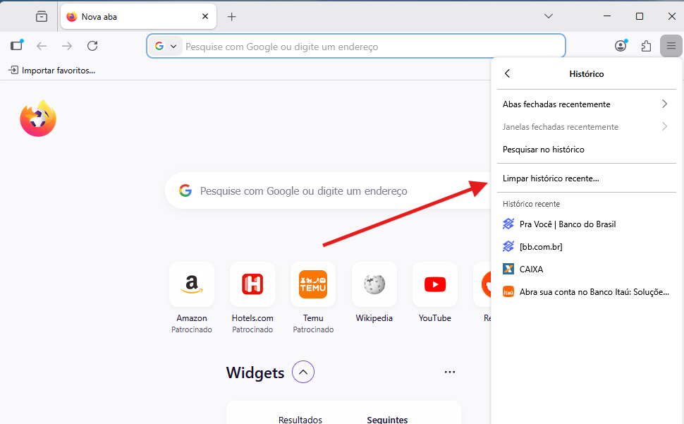 Painel de histórico do Mozilla Firefox com a opção 'Limpar histórico recente' destacada.